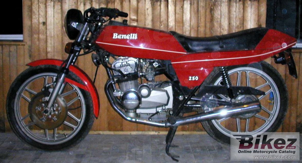 Big Lon Marshall 254 quattro picture and wallpaper from Bikez.com